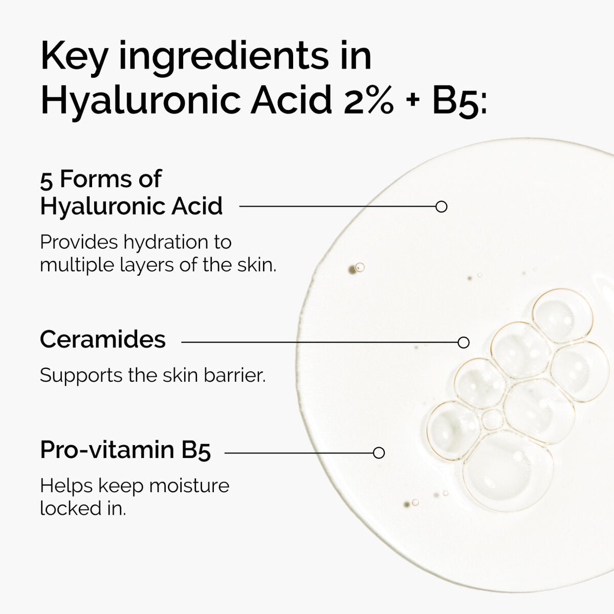 hyaluronic-acid-2-b5-with-ceramides-i3 ord-hyaluronic-acid-2pct-b5-hydrating-serum-ingredients-graphic.jpg