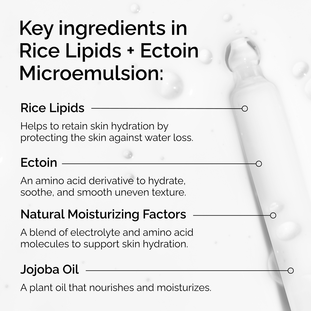 rice-lipids-ectoin-microemulsion-f3 ord-rice-lipids-ectoin-microemulsion-key-ingredients.png