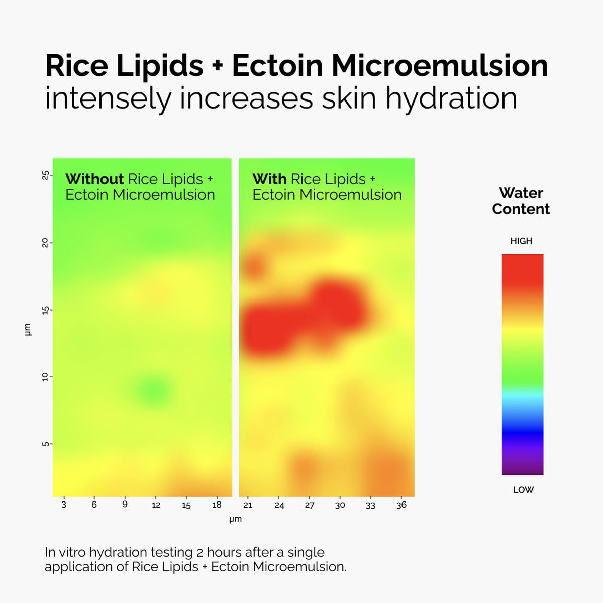 rice-lipids-ectoin-microemulsion-f3 ord-rice-lipids-ectoin-microemulsion-thermal-before-after.jpg